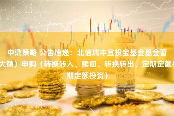 中鼎策略 公告速递：北信瑞丰宜投宝基金基金暂停（大额）申购（转换转入、赎回、转换转出、定期定额投资）