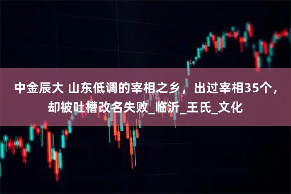 中金辰大 山东低调的宰相之乡，出过宰相35个，却被吐槽改名失败_临沂_王氏_文化