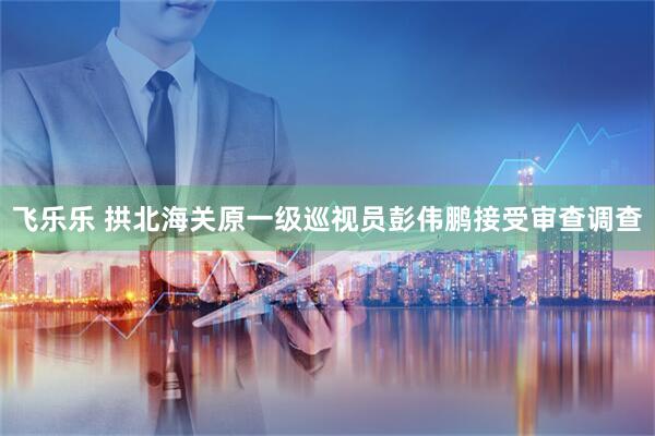 飞乐乐 拱北海关原一级巡视员彭伟鹏接受审查调查