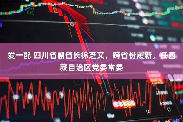 爱一配 四川省副省长徐芝文，跨省份履新，任西藏自治区党委常委